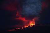Iguanas rosadas, a salvo tras violenta erupción volcánica en Galápagos