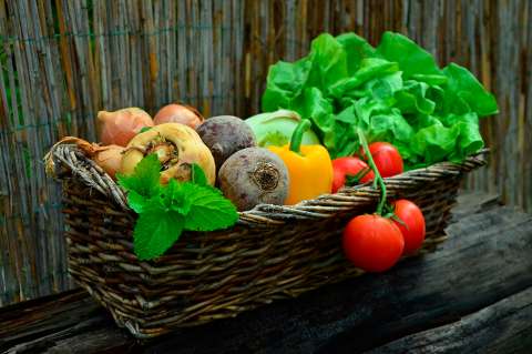 Un 35% de los programas de alimentación escolar no cumplen estándares de calidad