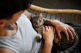 El Catfesito, espacio para amantes de gatos, cierra por falta de recursos económicos