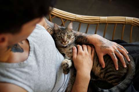 El Catfesito, espacio para amantes de gatos, cierra por falta de recursos económicos
