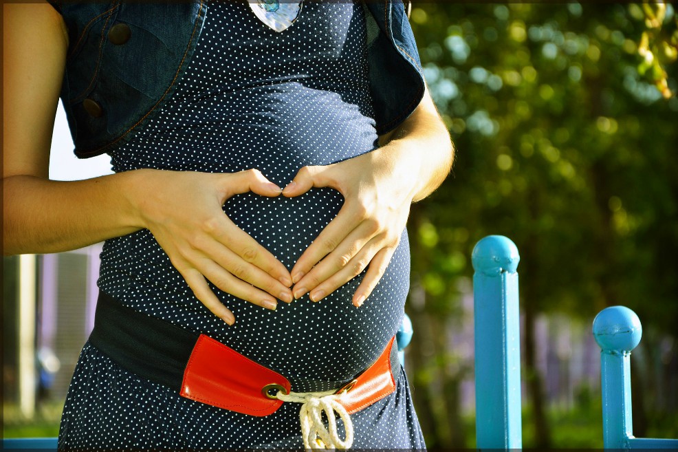 La ingesta elevada de fructuosa durante la gestación provoca importantes alteraciones en la placenta y en los fetos. / Pixabay