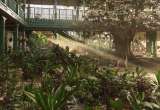 Yo visité Macondo (Diez años de soledad)