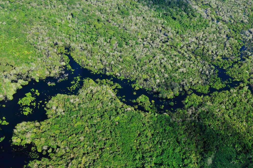 Imagen de la Amazonía.