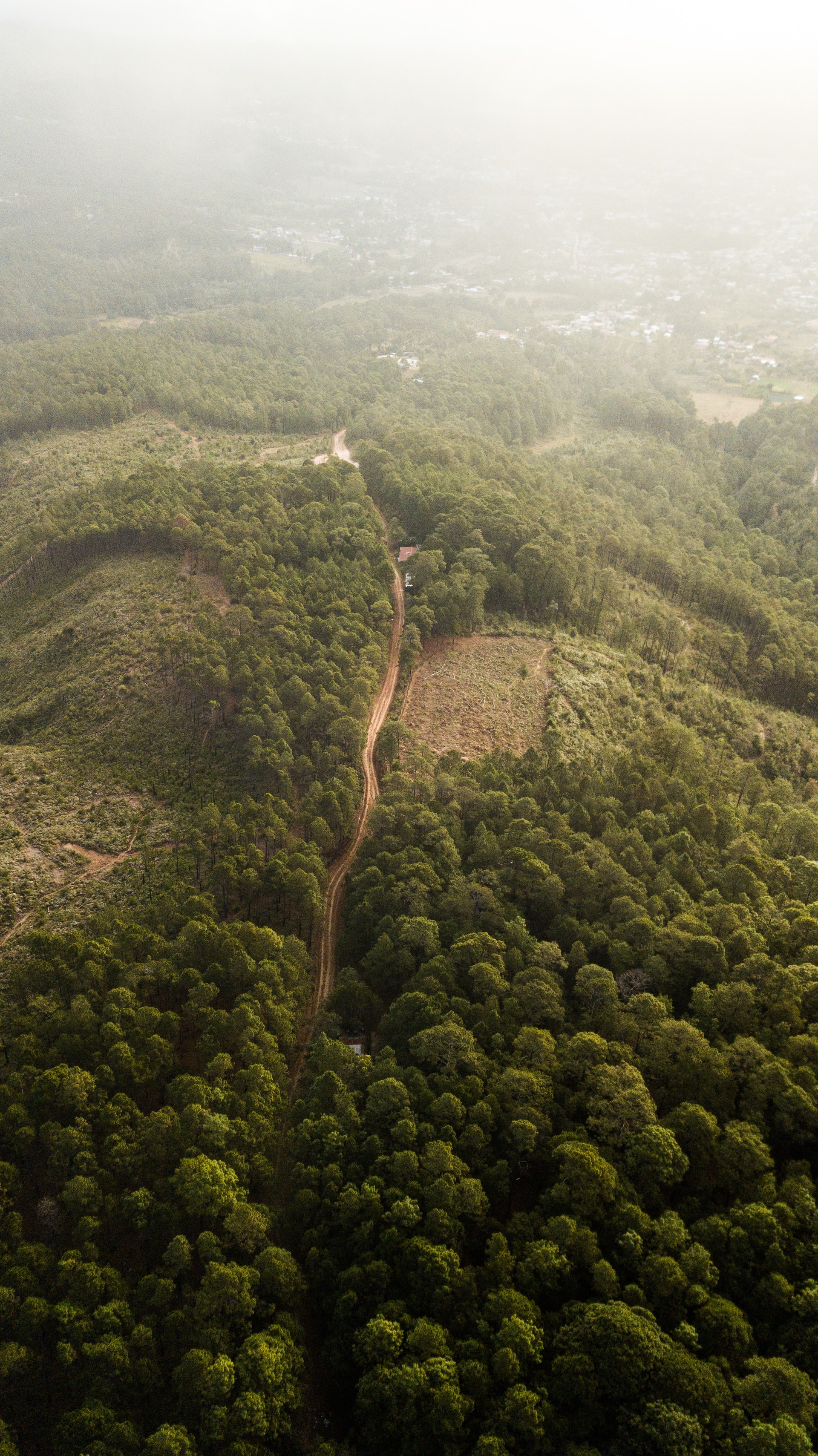 En el caso de América Latina, las emisiones provenientes del cambio de uso del suelo (paso de zonas boscosas a agricultura o urbanizaciones) son las que mayormente abultan la huella de carbono. La imagen corresponde a La Esperanza, en Honduras.