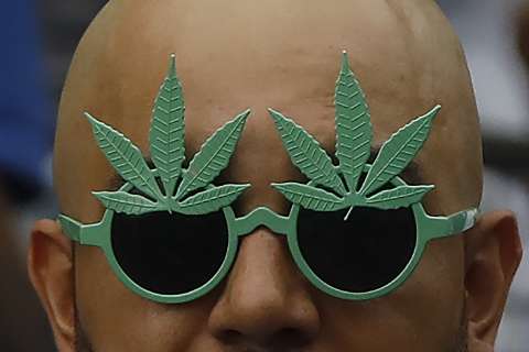 Marihuanicen la legalihuana