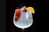 Cómo hacer un delicioso Gin Tonic de frutos rojos en casa