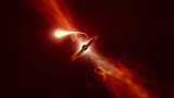 Captan la imagen de una estrella siendo desgarrada por un agujero negro