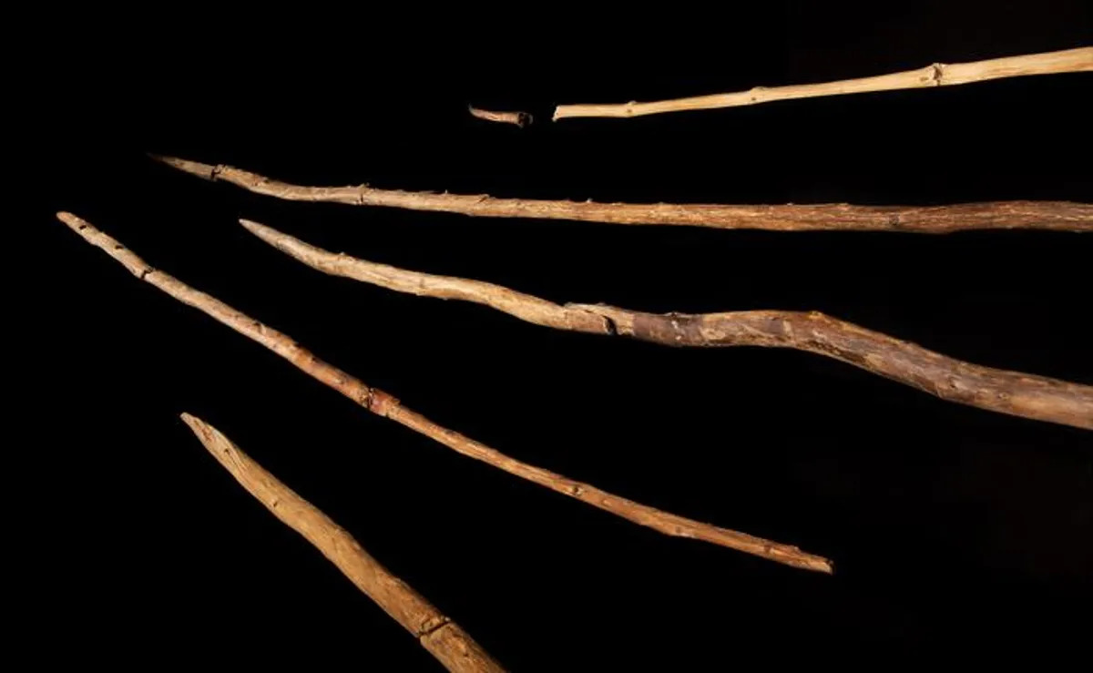 Las lanzas de madera encontradas en Schöningen, Alemania.