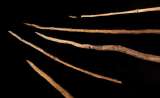 Lo que revelan herramientas de hace más de 400.000 años sobre los neandertales