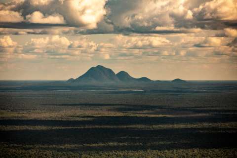 ¿Cómo evitar el colapso de la Amazonia? Esto dice una especialista que ha dedicado su trabajo a la región