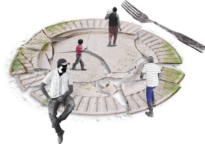 En el Guaviare, 7.196 familias decidieron hacer su tránsito para dejar de subsistir de lo que se considera un cultivo de uso ilegal, soñando con encontrar otras formas de trabajo en sus territorios.