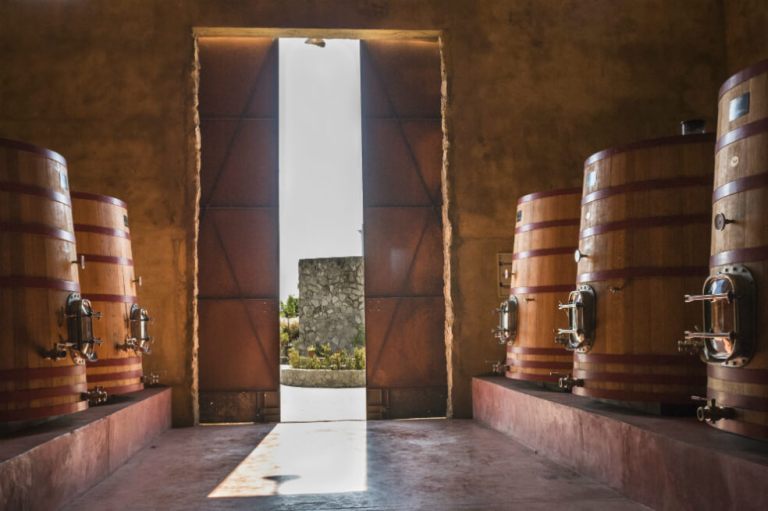 Vinoterapia con los pies, un imperdible al visitar Uruguay en época de vendimia