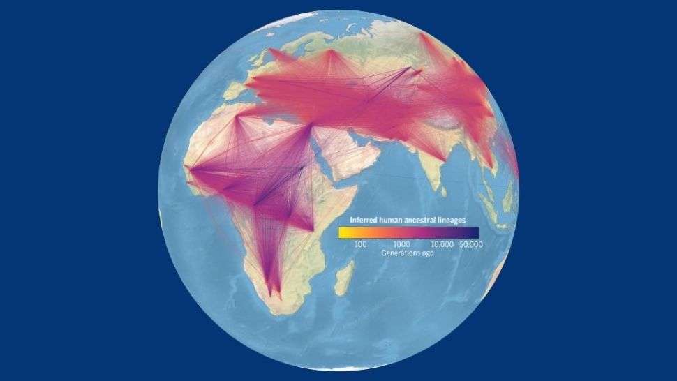 Cada línea de esta figura representa una relación ancestro-descendiente en la nueva genealogía de los genomas modernos y antiguos.