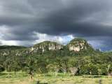 ESTRATEGIAS ECONOMICAS Y DE CONSERVACIÓN DIRIGIDAS A FORTALECER EL SECTOR RURAL EN SAN JOSE DEL GUAVIARE