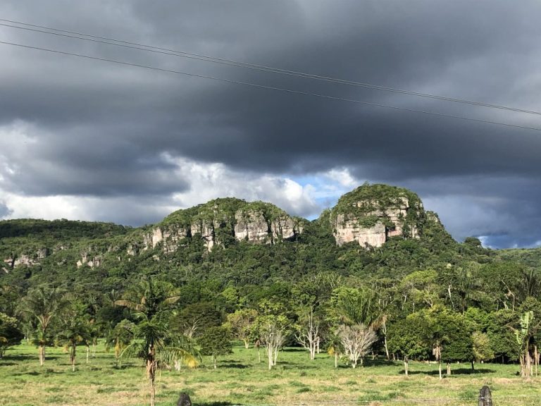 ESTRATEGIAS ECONOMICAS Y DE CONSERVACIÓN DIRIGIDAS A FORTALECER EL SECTOR RURAL EN SAN JOSE DEL GUAVIARE