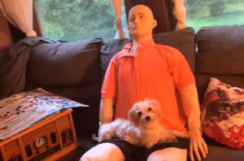 El muñeco que salvó a Gus de su ansiedad al quedarse solo: “no comía ni bebía”