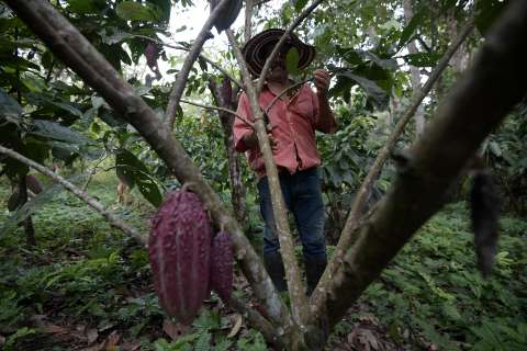 Lanzan proyectos de formación y educación dual y paisajes sostenibles en Colombia