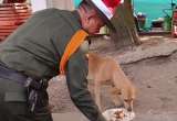 Así fue la cena de Navidad que la policía organizó para cien perritos (video)