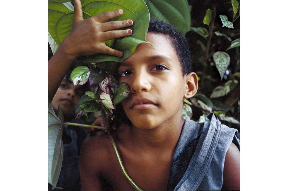 Temporada de mangos