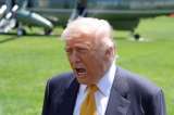 Trump en su laberinto