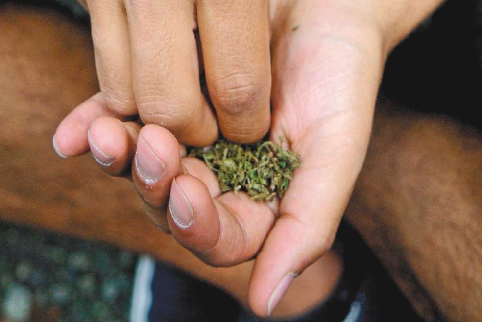 La fuerza pública quedó facultada para decomisar cualquier dosis de sustancias psicoactivas. / EFE