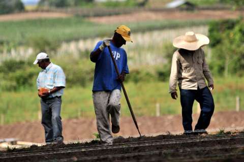 El ambiente en la Misión de Transformación del Campo