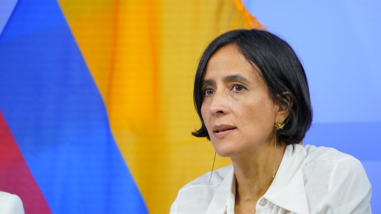 Esta son las apuestas del Gobierno Petro para la COP29 en Azerbaiyán