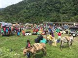 Reencuentro emberá, una realidad en Risaralda