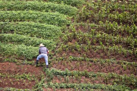 Diferencias entre fanegada, acre y hectárea: a cuánto equivalen y más