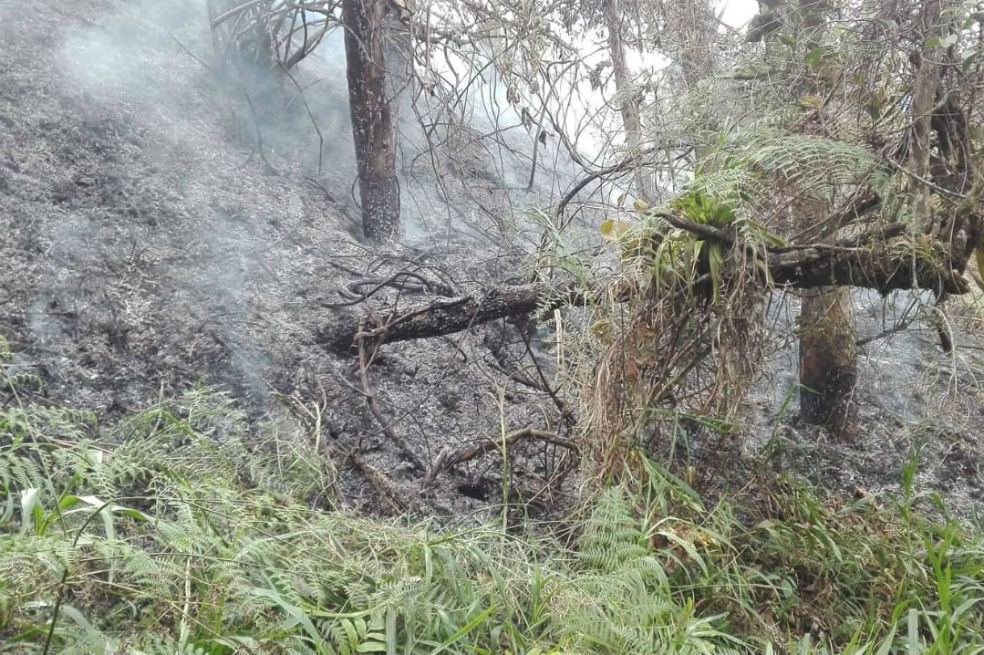Bomberos de Cundinamarca