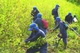 Los desacuerdos por el proyecto de cocaleros
