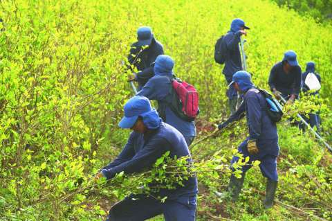Los desacuerdos por el proyecto de cocaleros