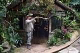 El creador de un bosque de hadas y duendes a 40 minutos de Cali