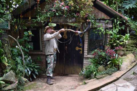 El creador de un bosque de hadas y duendes a 40 minutos de Cali