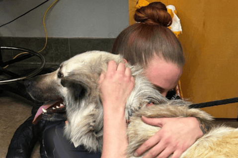 Perrita abandonada es encontrada con una desgarradora nota en su cuello