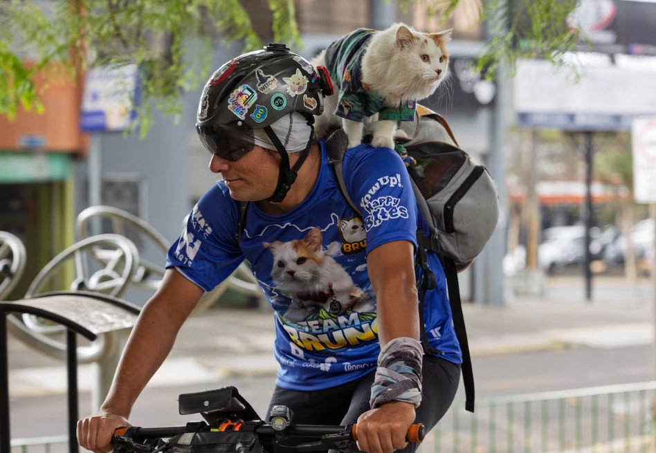 Bruno empezó a viajar en bicicleta desde que era un cachorro, adaptándose rápidamente a la rutina.