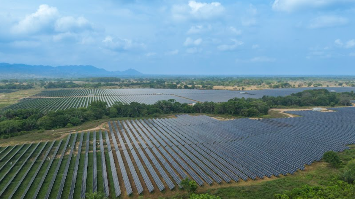 El parque "La Mata" tiene una extensión de 184 hectáreas y cuenta con  176.700 paneles solares.