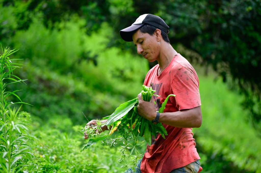 Aspectos de la zona y del trabajo de los campesinos en esta tierra