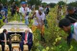 Estas son las imágenes que mostró Petro a Trump como prueba de la lucha contra las drogas