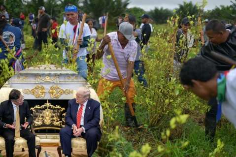 Estas son las imágenes que mostró Petro a Trump como prueba de la lucha contra las drogas