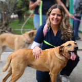 La tenencia responsable de mascotas en Bogotá es un compromiso social urgente