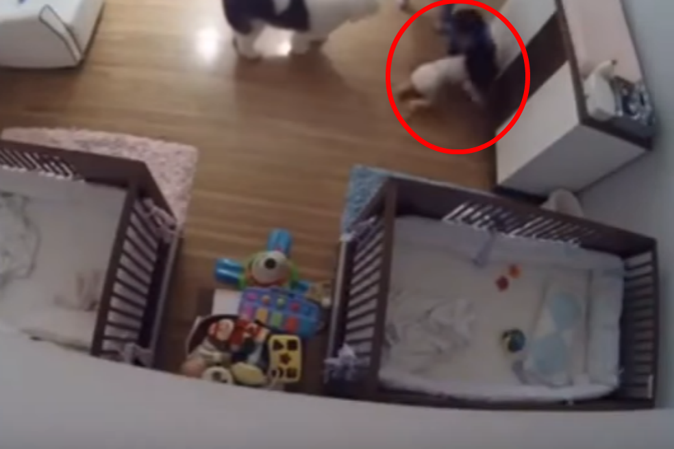 Captura de video