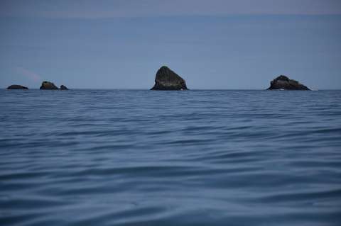 Donan USD $51 millones para crear áreas marinas protegidas en alta mar