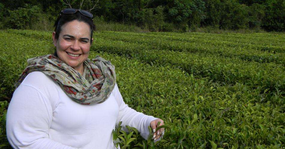 Omarly Alcina, la somelier del té
