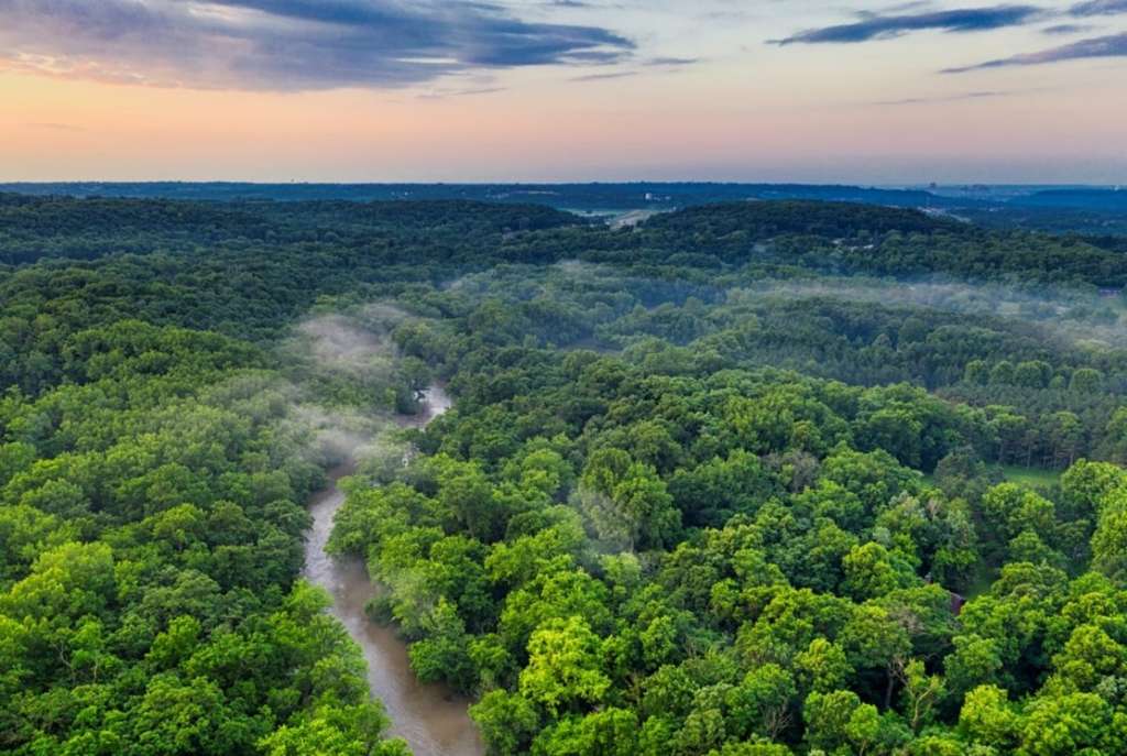 La Reserva Natural Palmari está ubicada sobre el río Javari, en la frontera virgen entre Brasil y Perú.