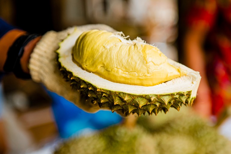 ¿Qué fruta tropical fue prohibida en algunos lugares por su olor?