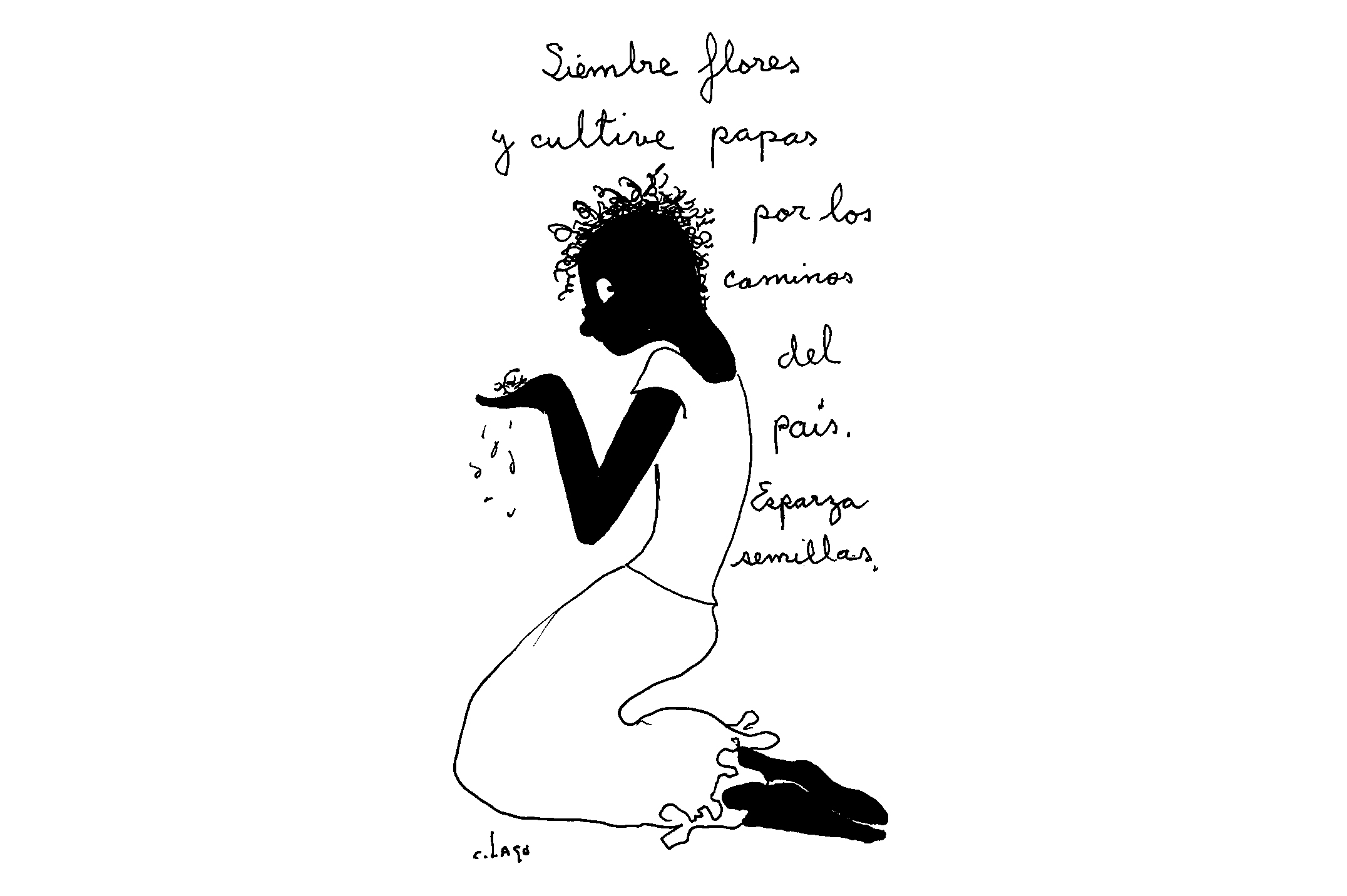 Caricatura