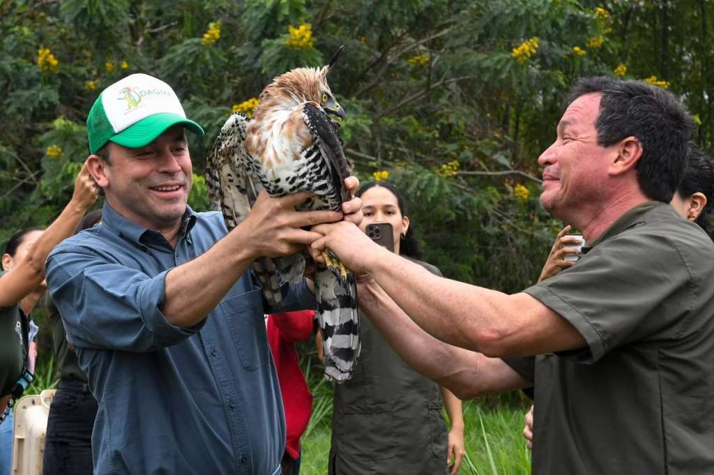 El alcalde Alejandro Eder recibe el águila coronada ‘Kali’, de manos del veterinario Delio Orjuela.