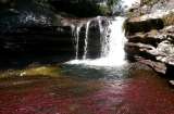 Parques Naturales habilita de nuevo todos los senderos ecoturísticos de Caño Cristales