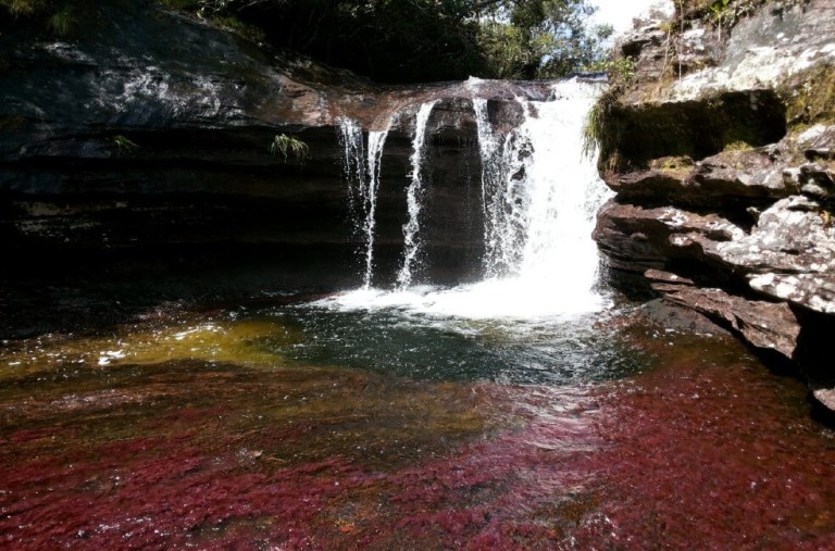 Parques Naturales habilita de nuevo todos los senderos ecoturísticos de Caño Cristales